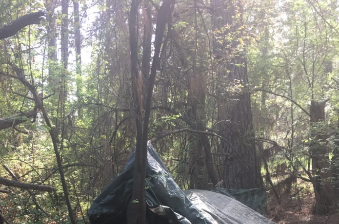 This is where one of Nevada County residents calls home. He has little inside as all his supplies and goods were stolen a few months ago.