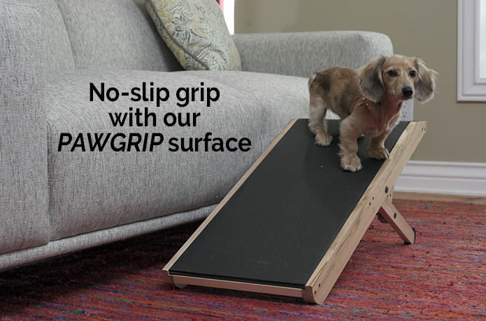 Indiegogo dog ramp 2025