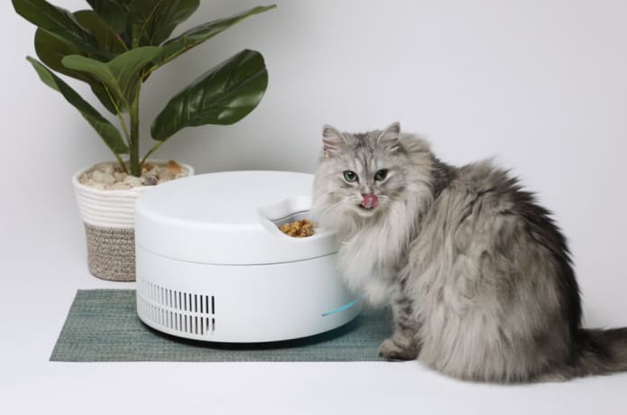SoCool The First Refrigerated Smart Pet Feeder Indiegogo