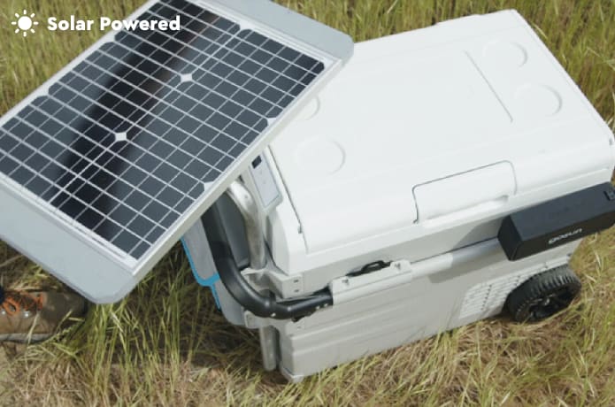 Solar powered coolers and totes online