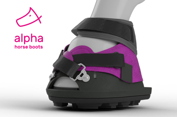Alpha horse boots sales