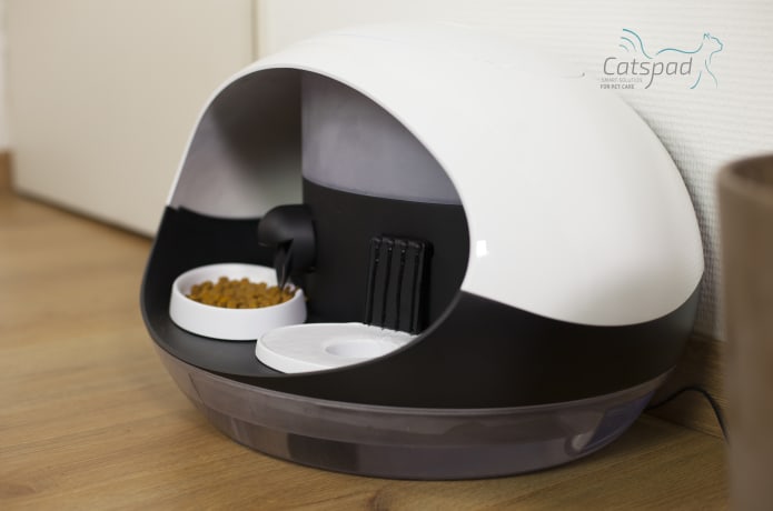 Catspad feeder store
