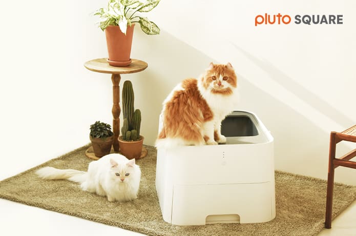 Square cat litter box on sale