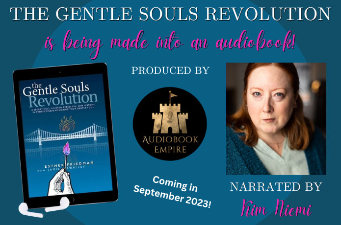 The Gentle Souls Revolution Audiobook Indiegogo