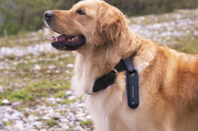 perfect for pets and kids