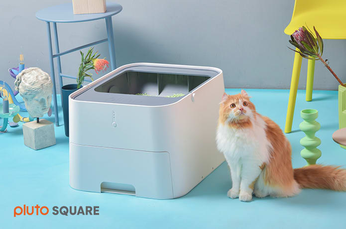 Square cat litter box top