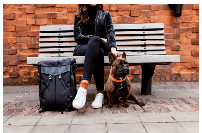 The speed backpack frenchie on sale