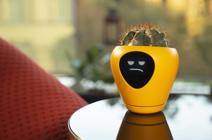 Lua the smart planter with feelings