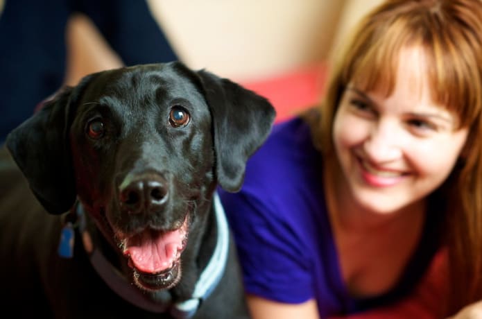 A Girl Her Dog Her Record Indiegogo 