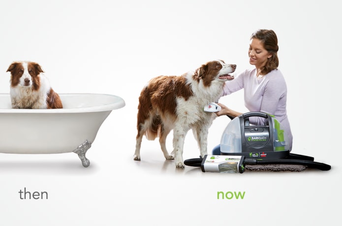 BARKBATH Portable Dog Bath System 1st Gen 2017 Indiegogo