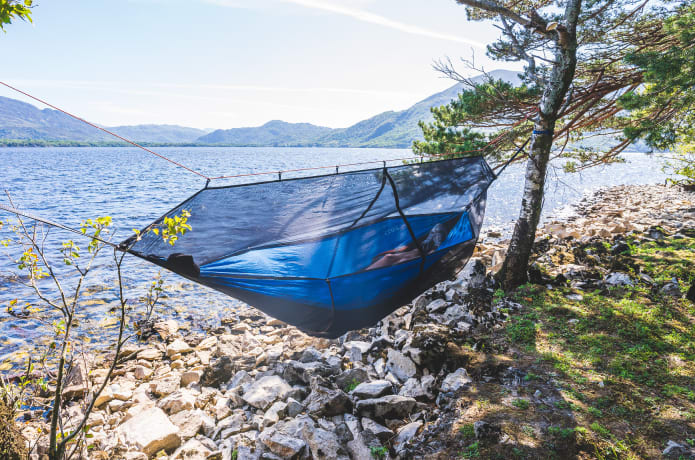 Koala hammock new arrivals