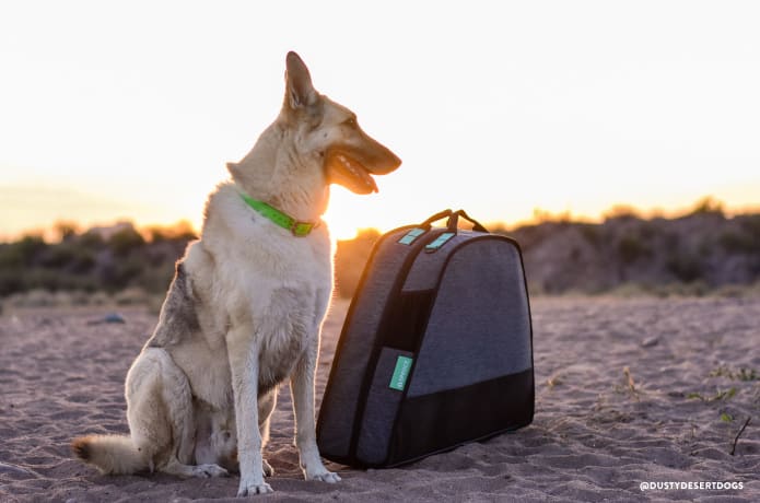 Spruce The Smartest Travel Dog Bed Ever Indiegogo