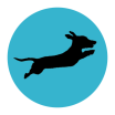 Doggoramps indiegogo outlet
