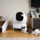 Aimicat on sale