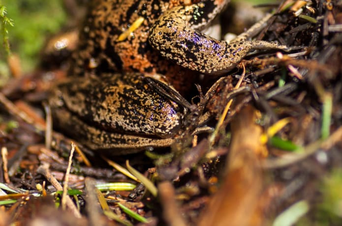 A Pixel-Filled Bicycle Tour | Indiegogo