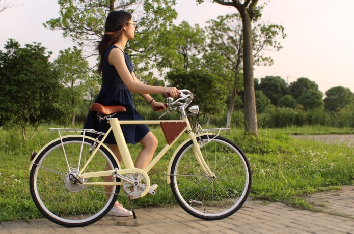 vela electric bike