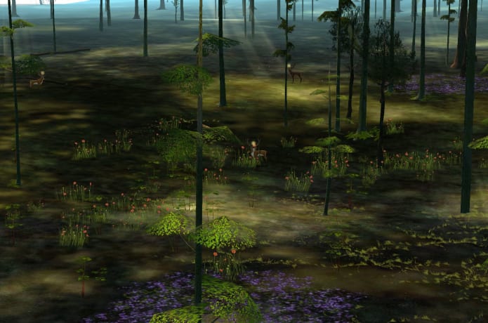 The Endless Forest Second Decade Indiegogo
