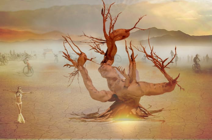 Methuselah Burning Man 2017 Indiegogo