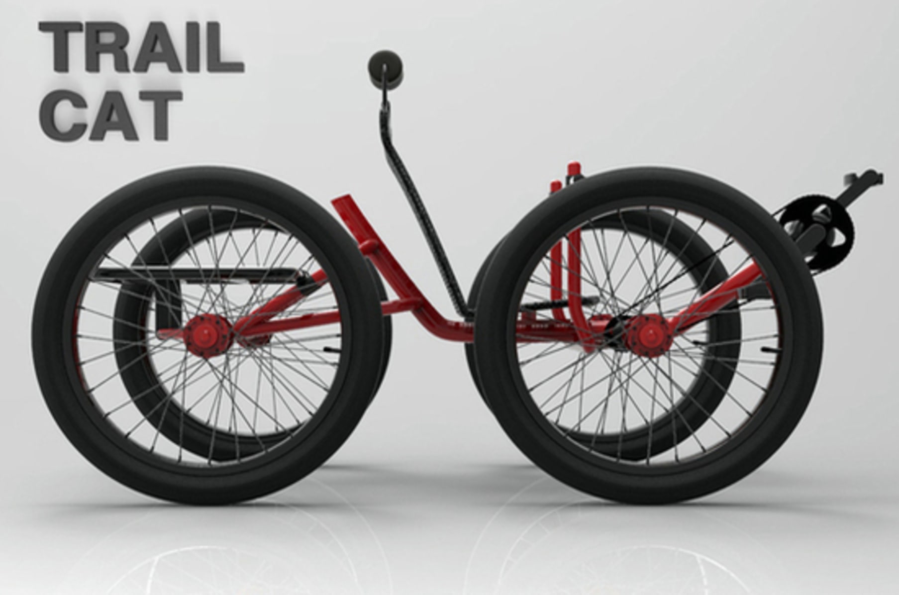quad fat bike