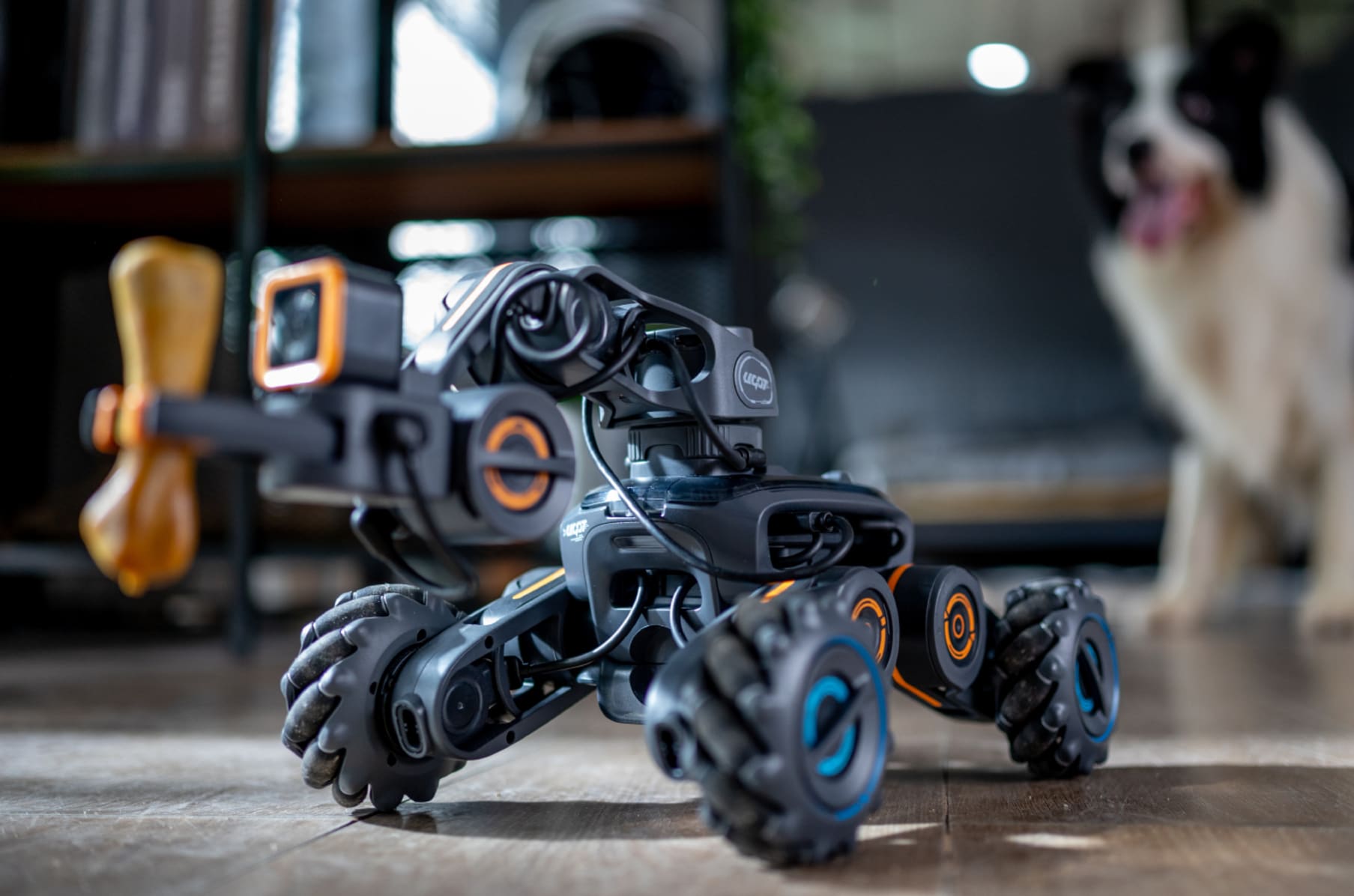 Robot Vector by Anki: most funded robotics project on Kickstarter