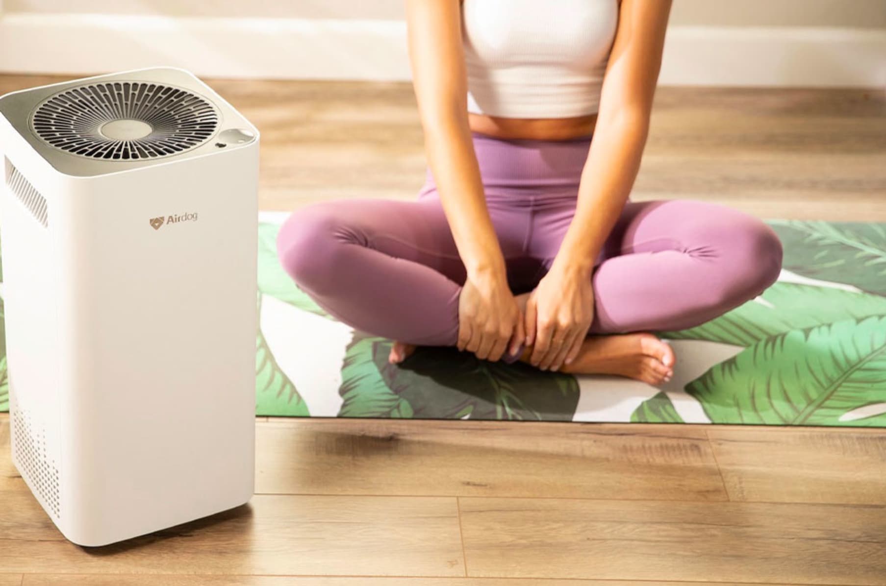 Airdog X3: World's Most Effective Air Purifier | Indiegogo