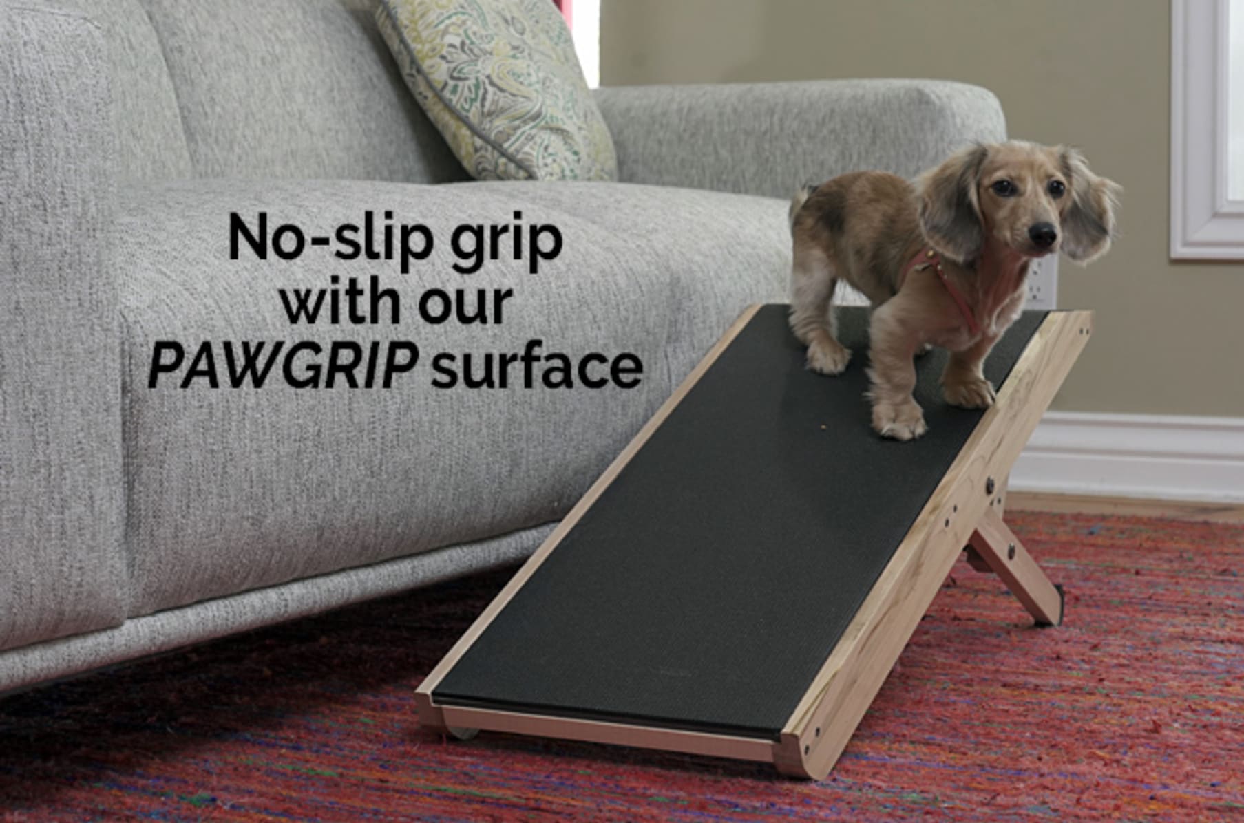 Indiegogo cheap dog ramp