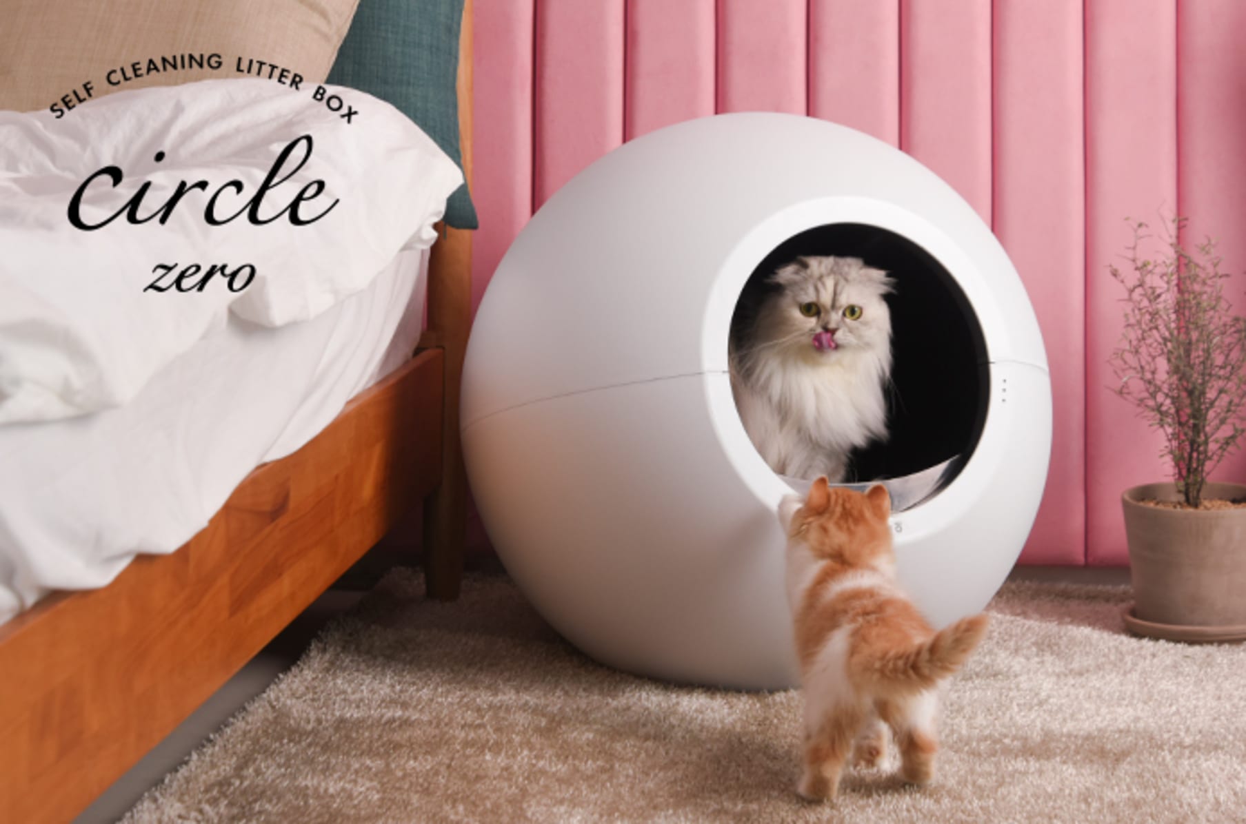 Circle cat litter box shop