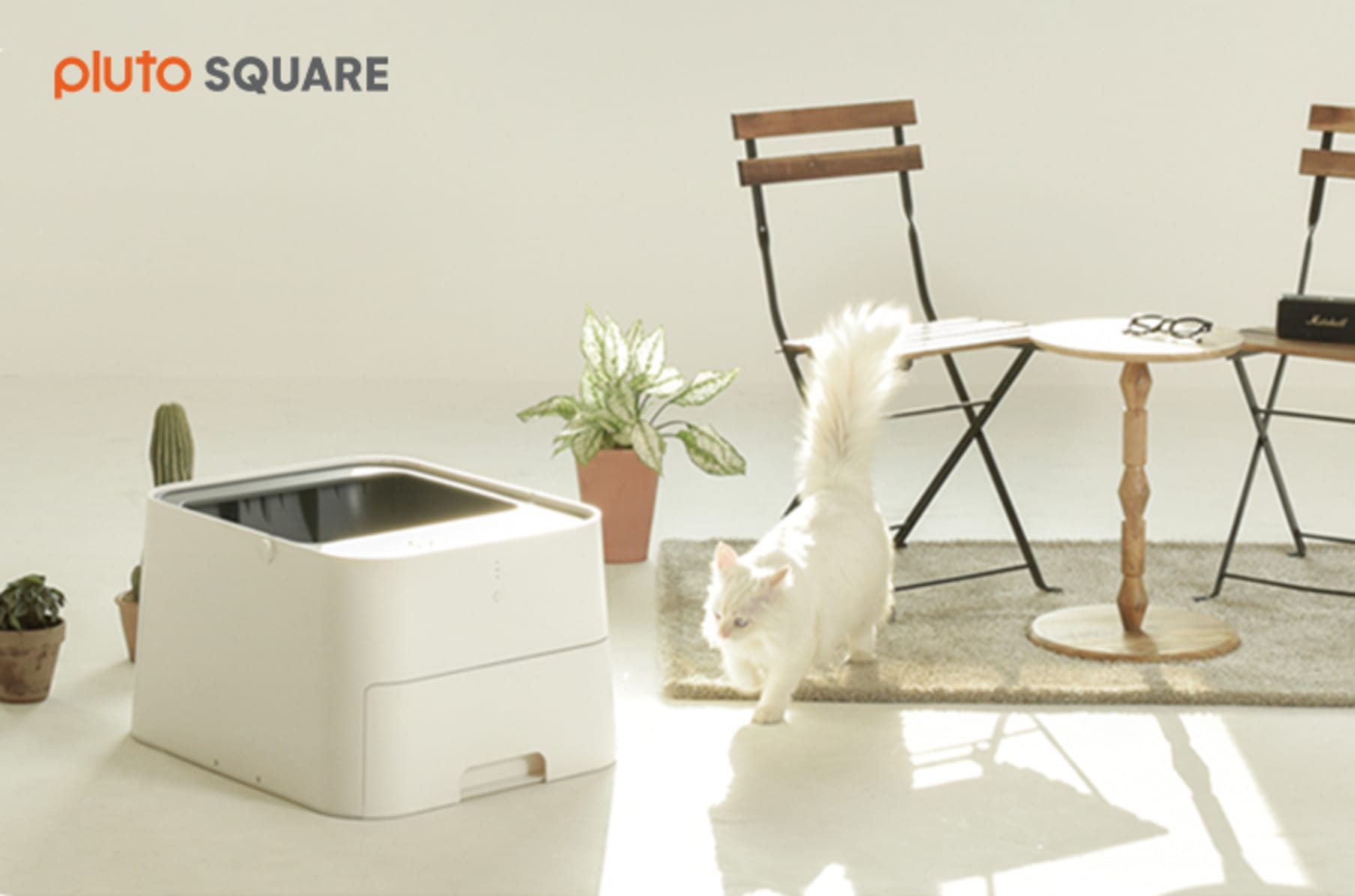 Square litter box hotsell