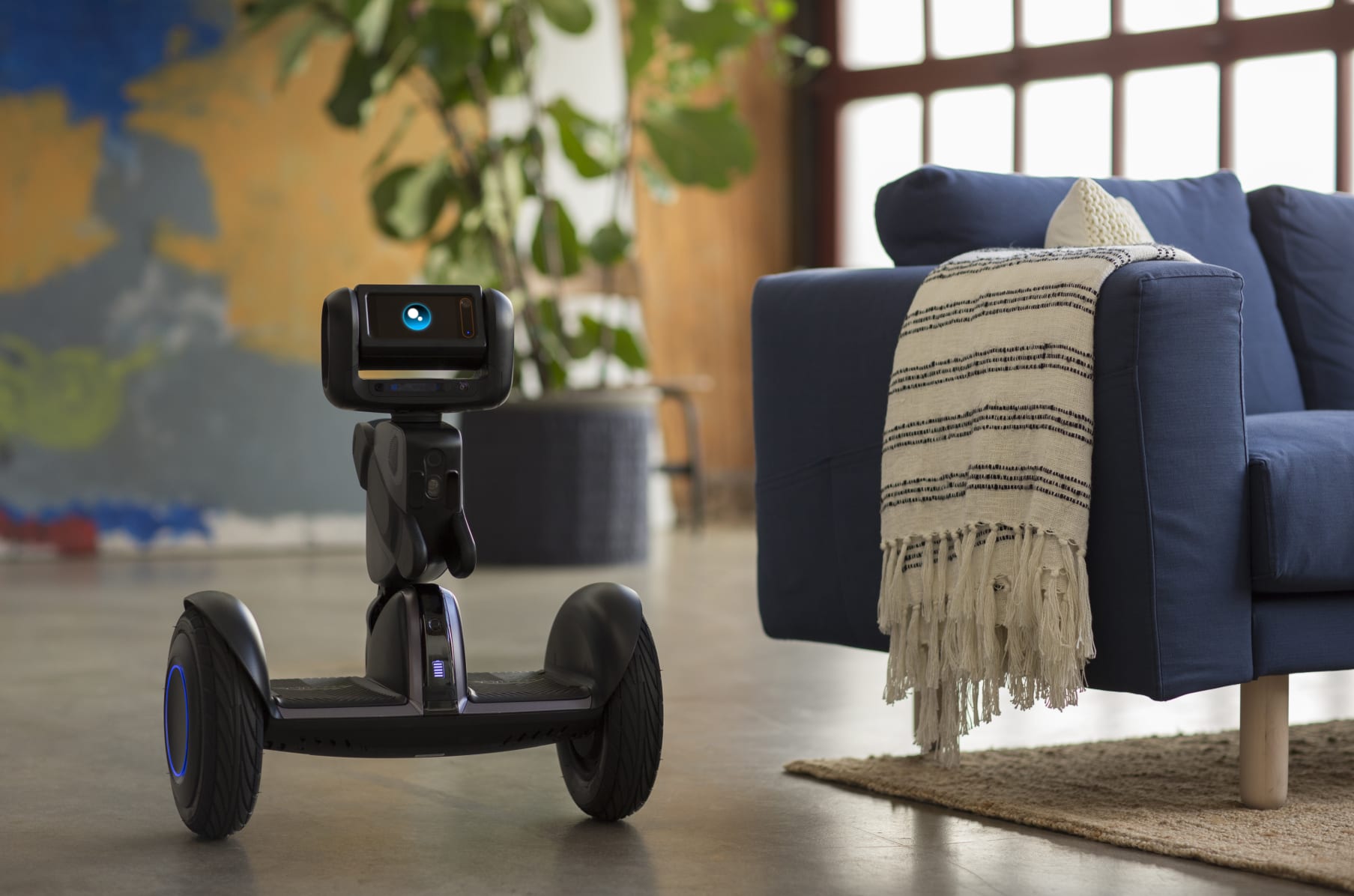 Loomo mini transporter online