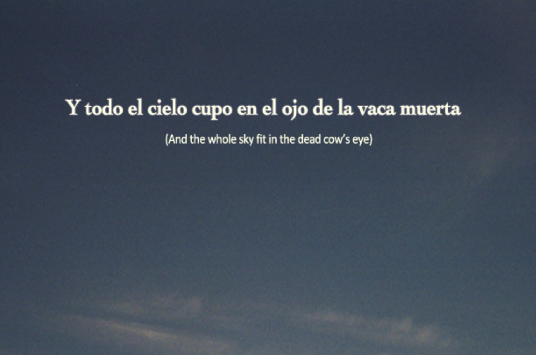 Y Todo El Cielo Cupo En El Ojo De La Vaca Muerta Indiegogo