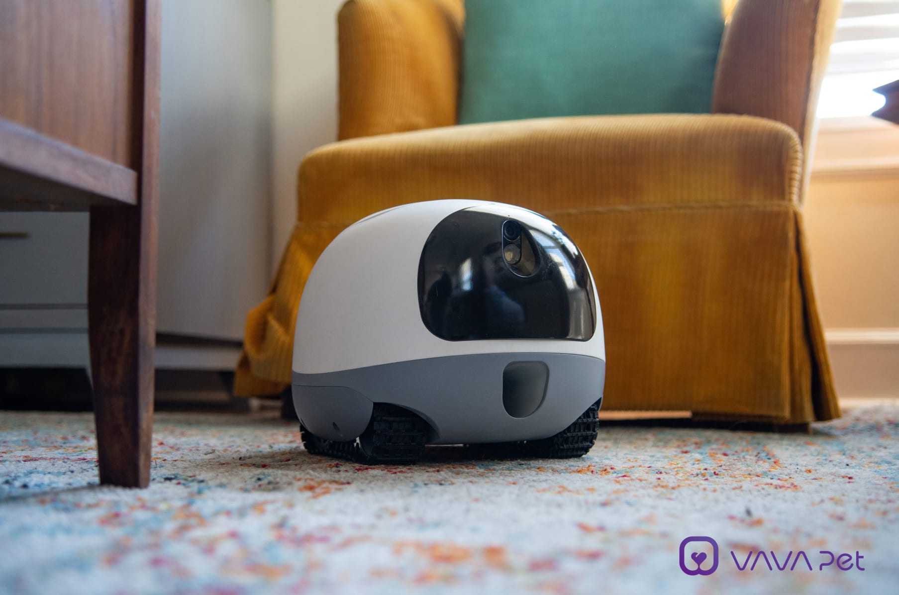 Mobile pet top cam