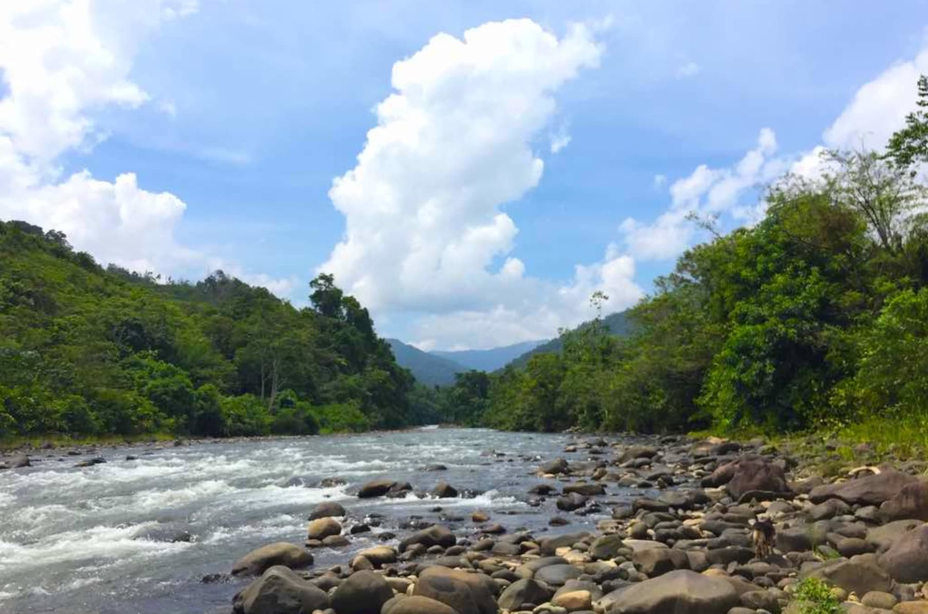 Ulu Glamping A Youth Led Ecotourism Project Indiegogo