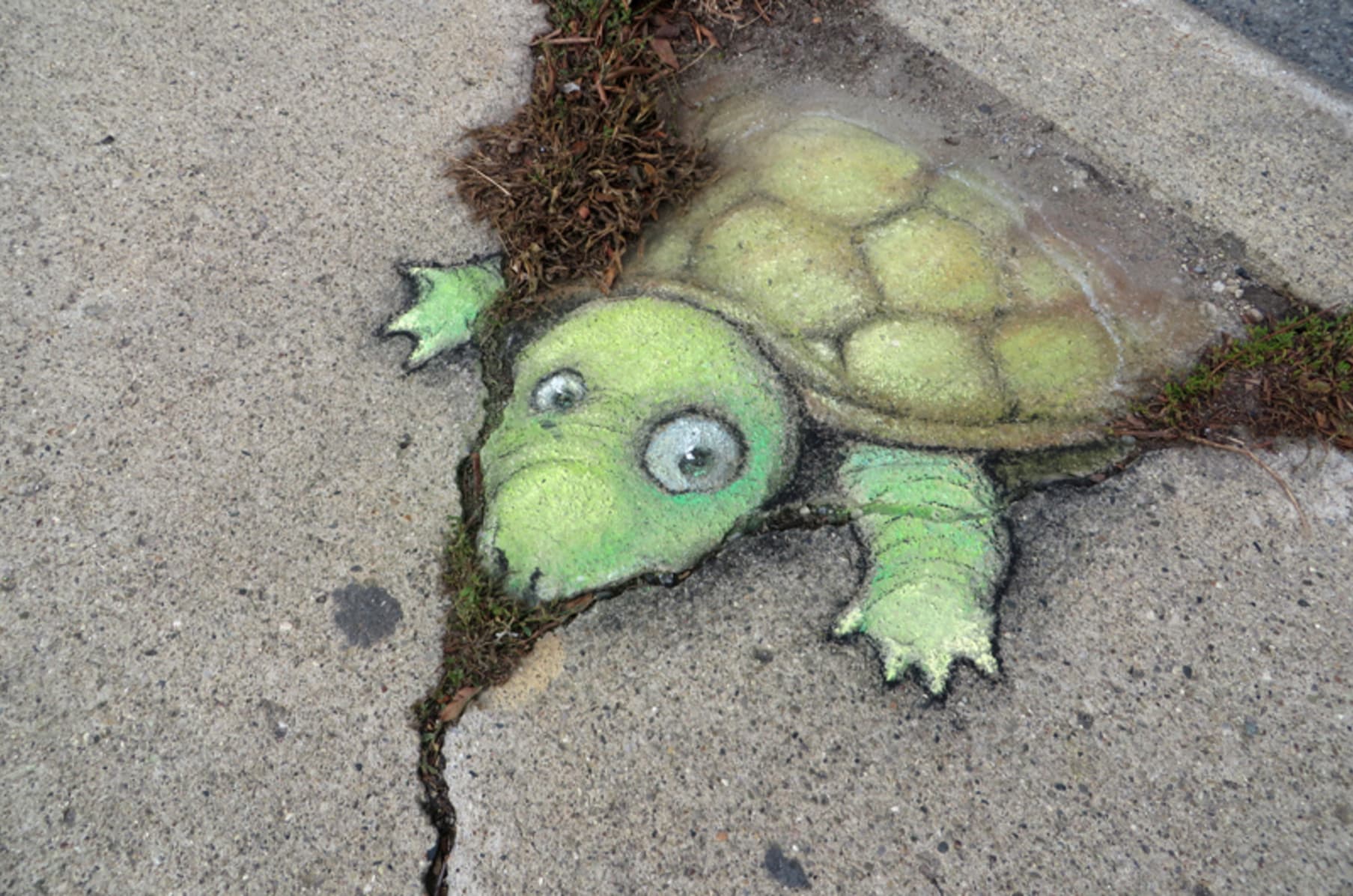 Temporary But Preserved Chalk Art By David Zinn Indiegogo