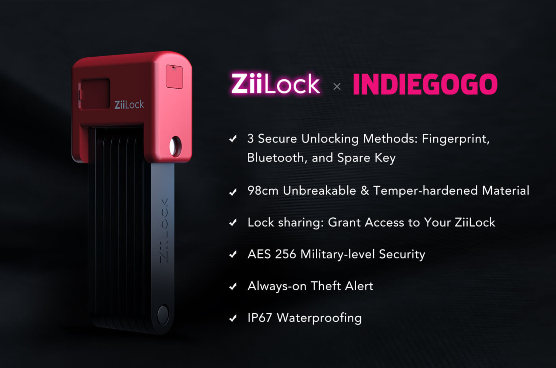 Ziilock price 2025