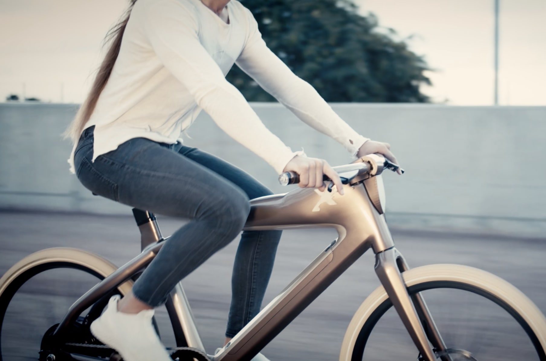 Indiegogo hot sale electric bike