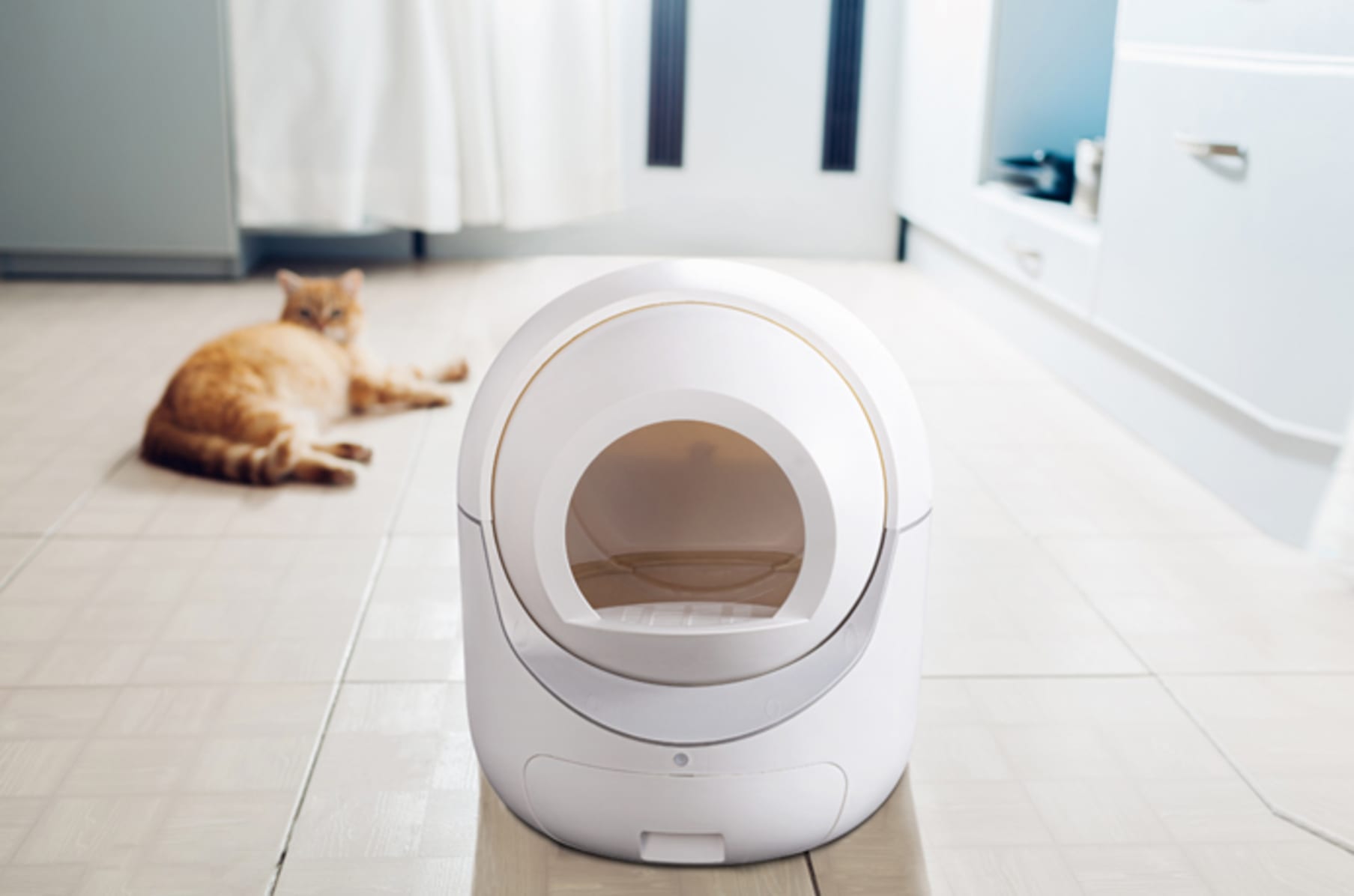 Igloo Reinvent Affordable Auto Cat Litter Box Indiegogo