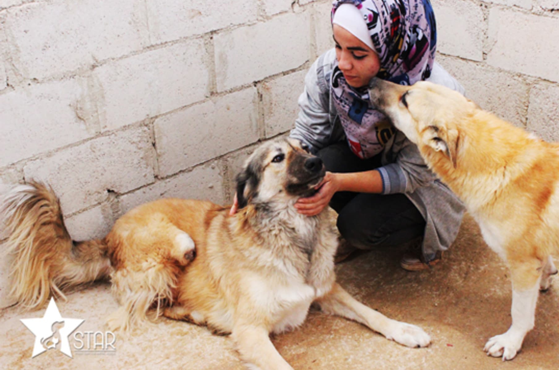 Help Star Look After Injured Animals In Syria | Indiegogo