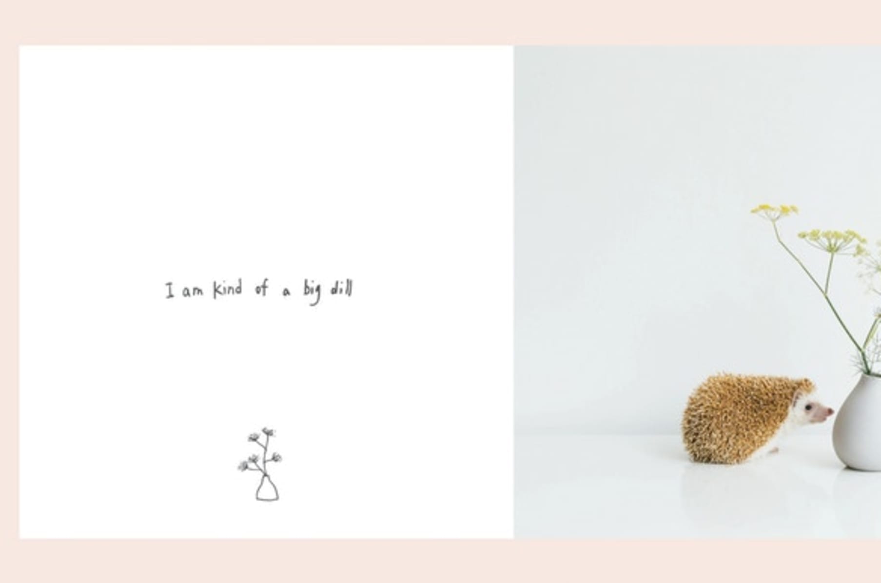 The Extraordinary Book Of Hedgehog Puns Indiegogo