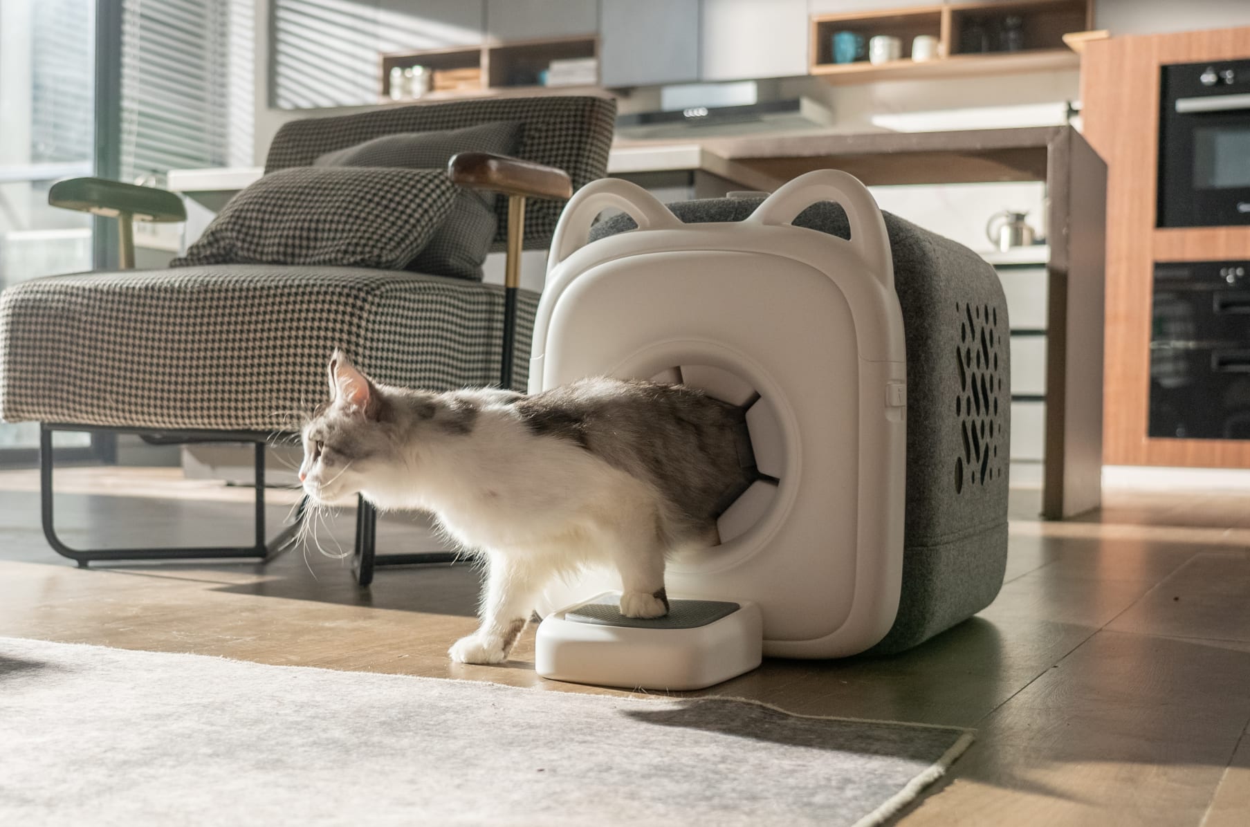 PAWSWING PURRRING  PELUQUERO DE GATOS  AUTOMATIZADO