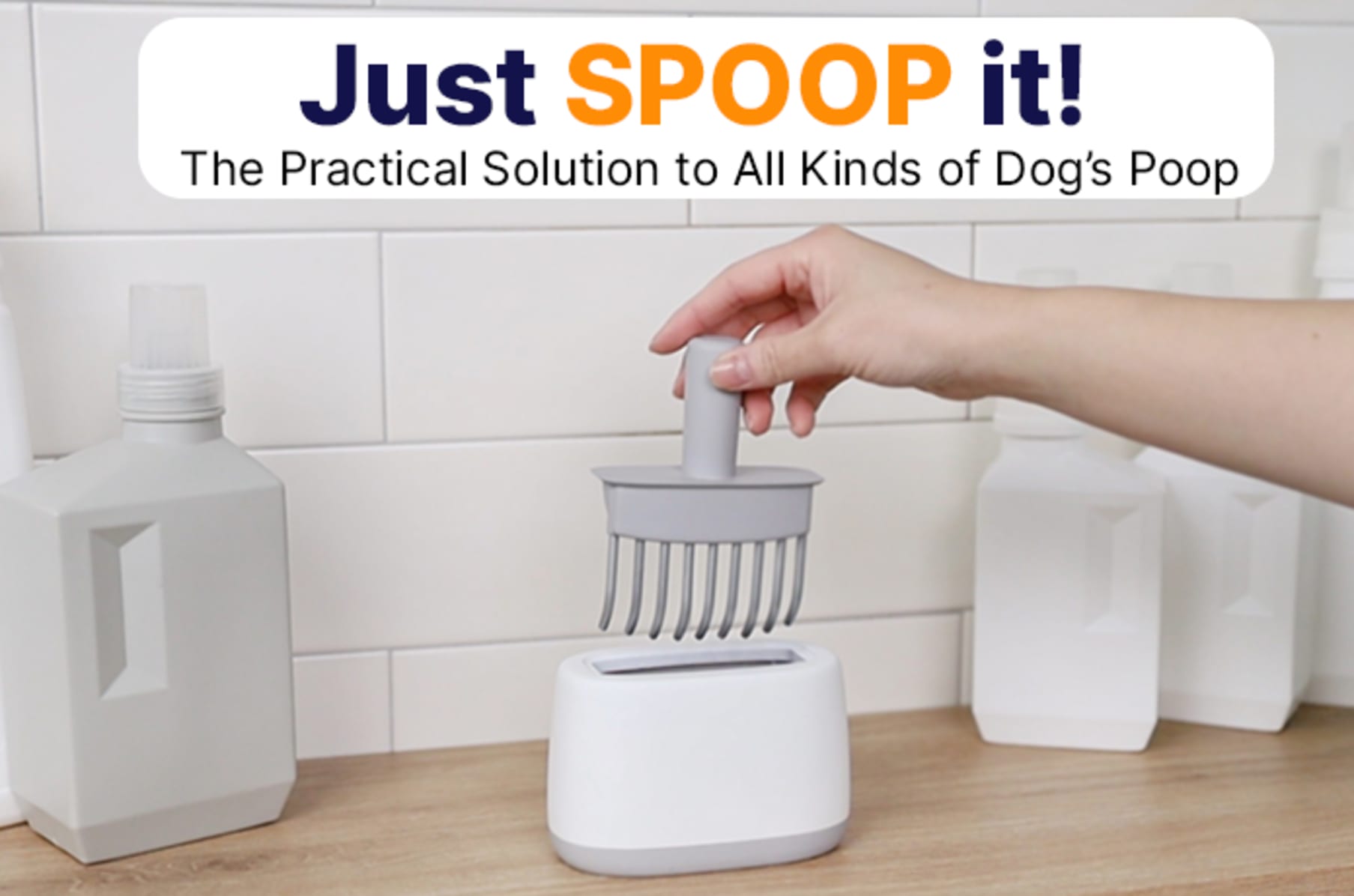 Realistic Scented Dog Poop Soap