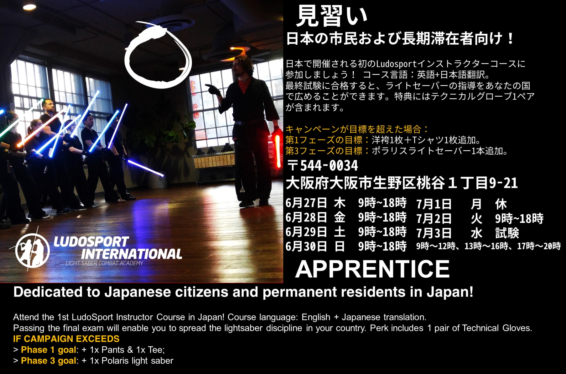 LudoSport lightsaber Academy in Japan | Indiegogo