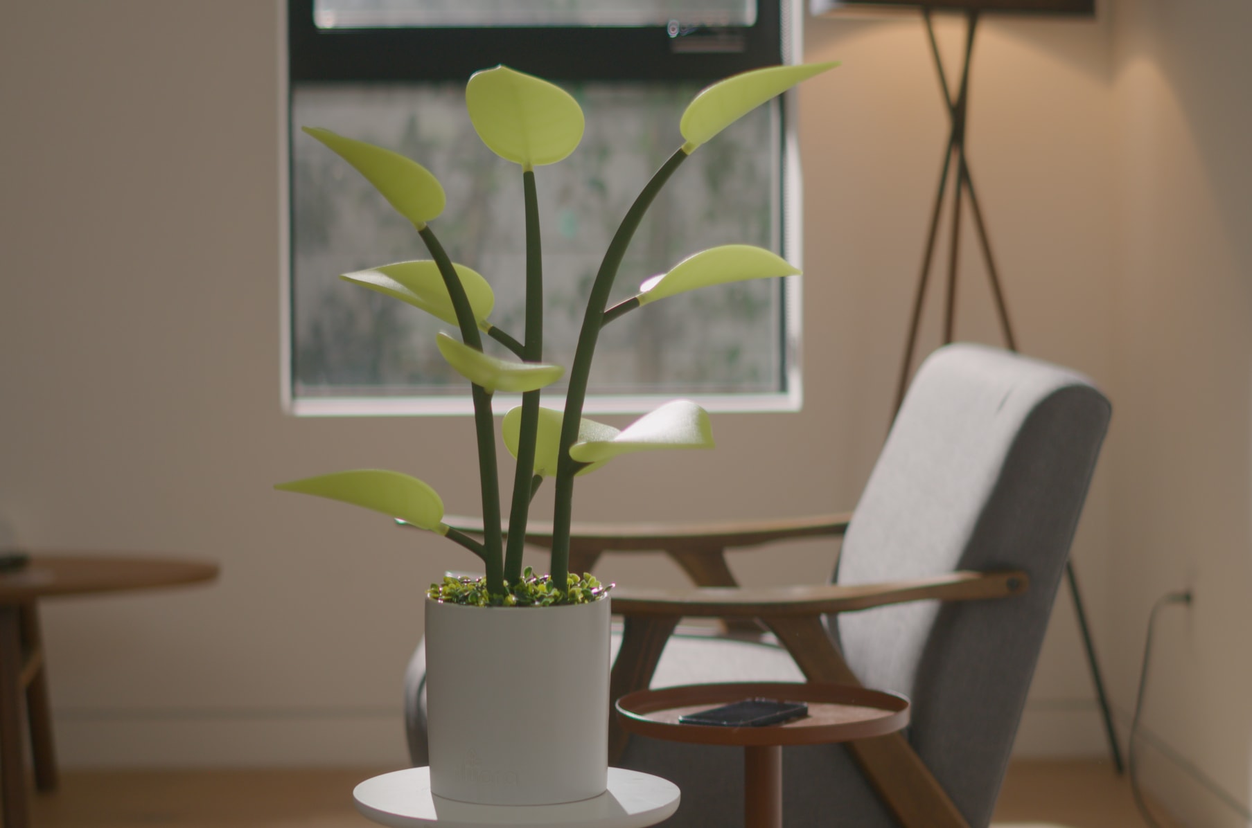 The magical 2024 led houseplant