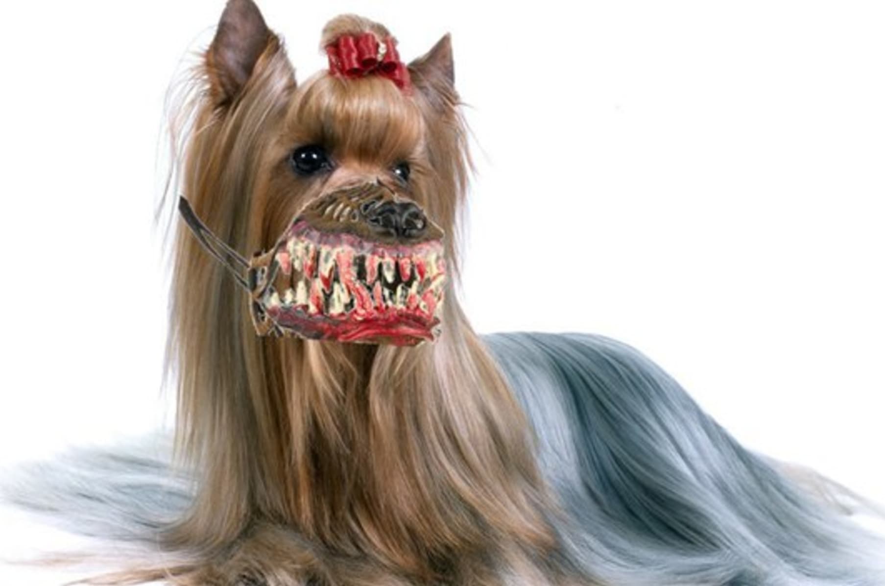 Werewolf muzzle cheap