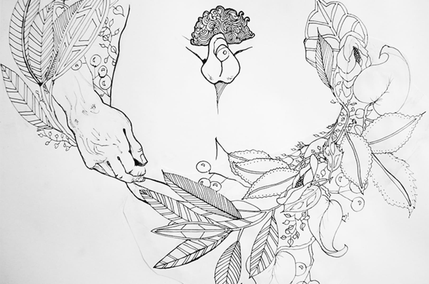 Download A Very Adult Coloring Book Indiegogo