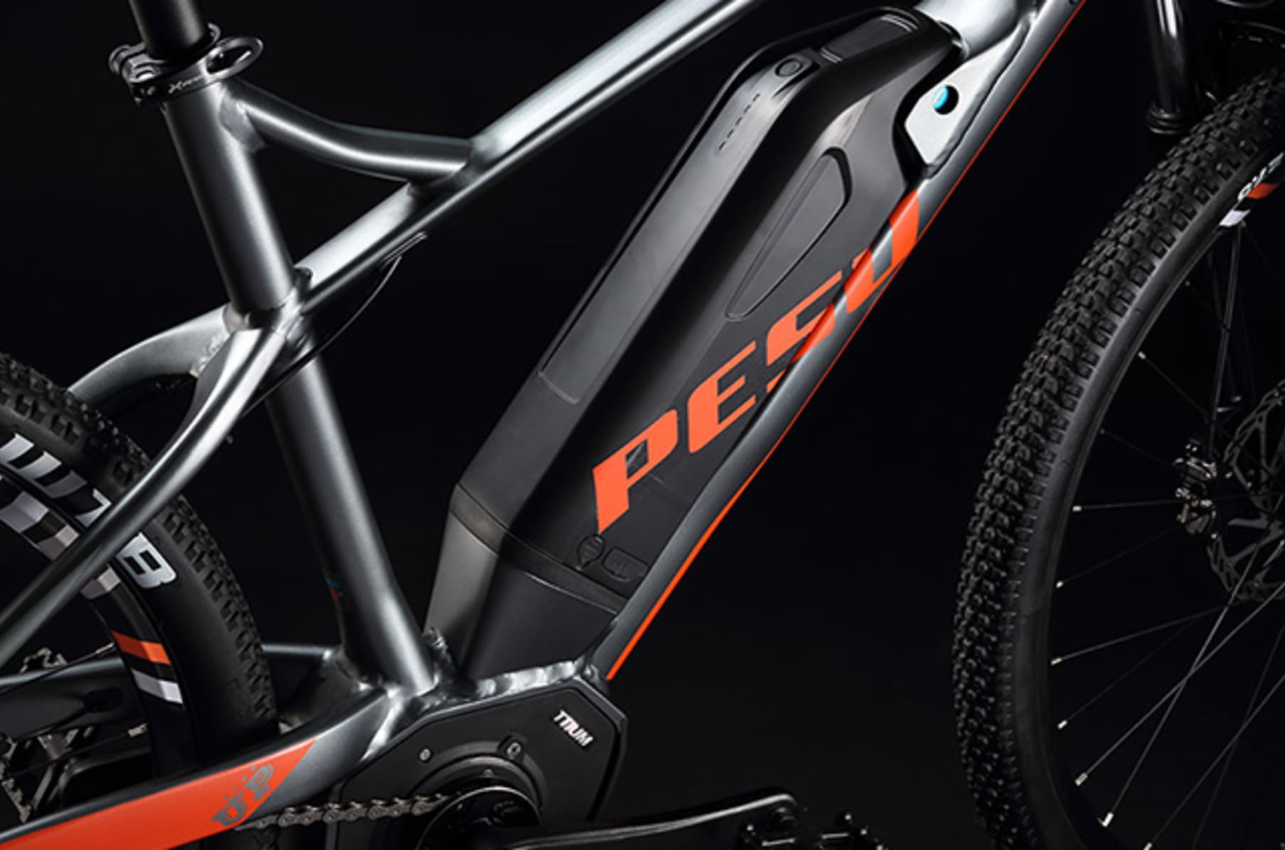 Pesu electric bike price store