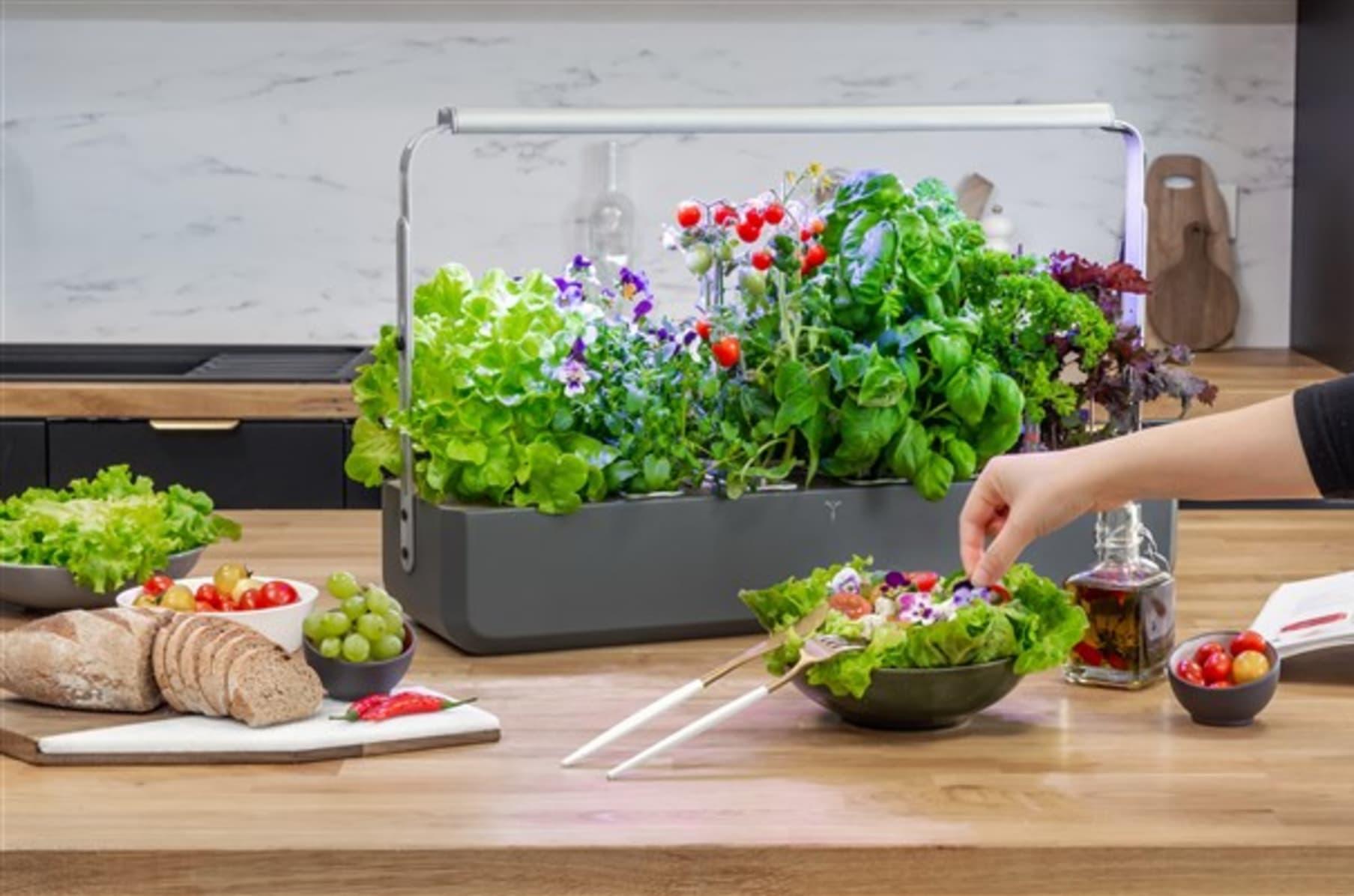 Smart Veritable Garden Lingot Seed Pod – Tomato