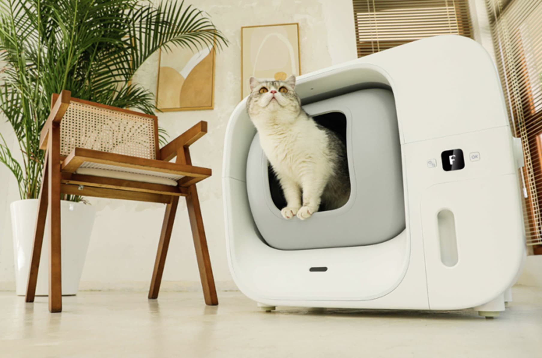 Furbulous World s First Self Pack Cat Litter Box Indiegogo