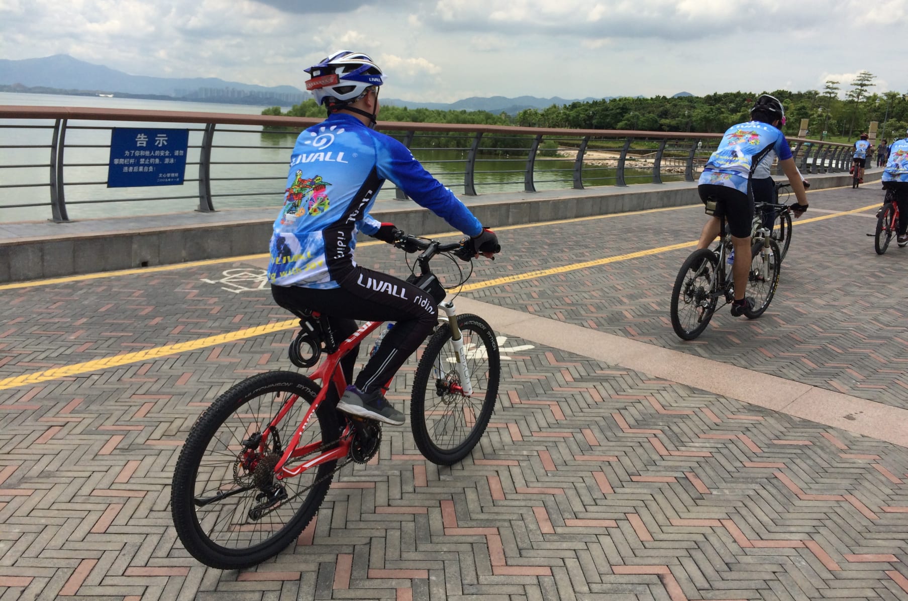 livall bike