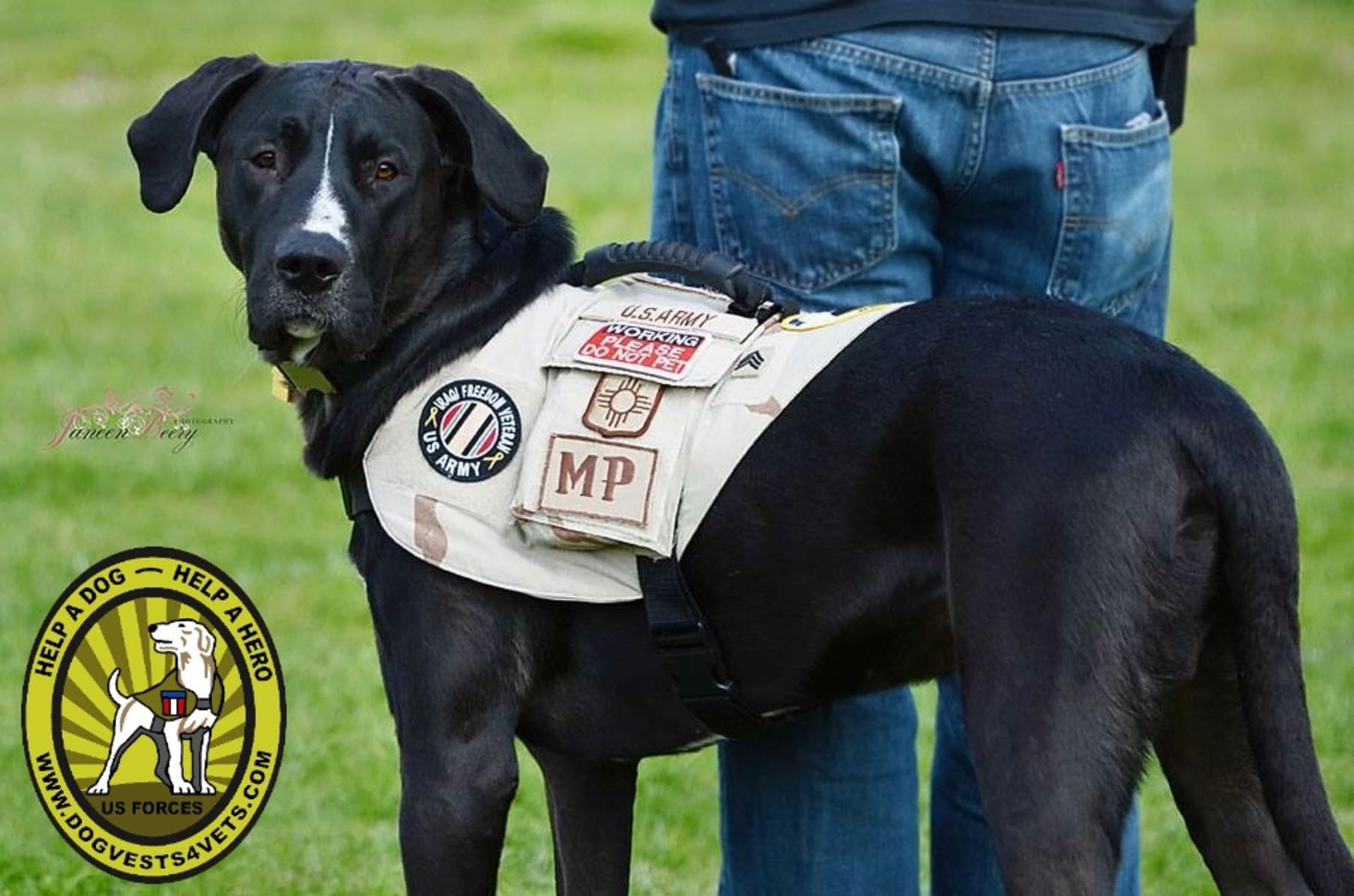 Dog vests for vets 2025