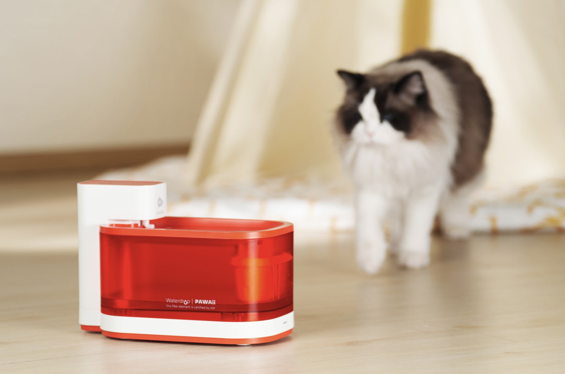 Cordless pet fountain deals